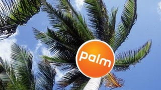 Palm to Release "New Category of Mobile Devices"
